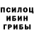 Псилоцибиновые грибы GOLDEN TEACHER Rose Farias