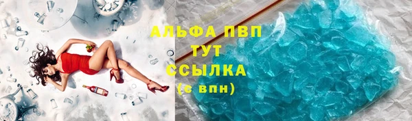 ГАЛЛЮЦИНОГЕННЫЕ ГРИБЫ Няндома
