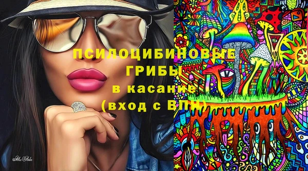 кокс Богородицк