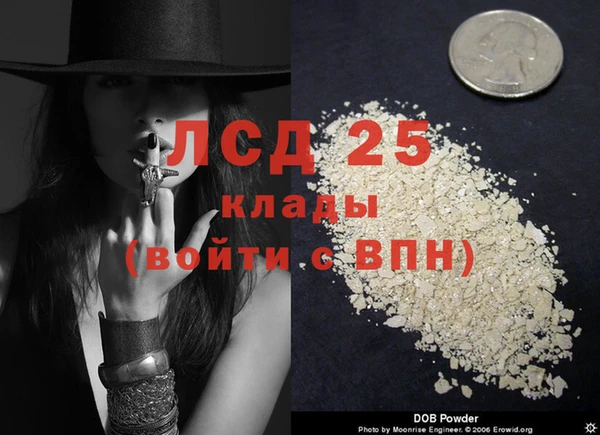 ГАЛЛЮЦИНОГЕННЫЕ ГРИБЫ Няндома