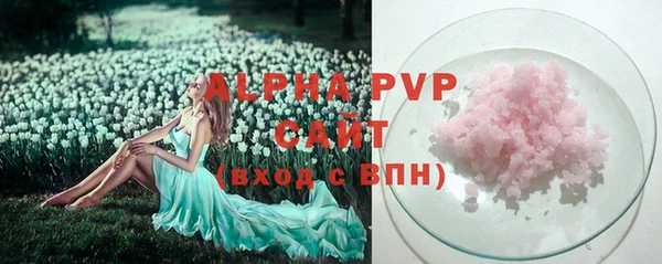 ГАЛЛЮЦИНОГЕННЫЕ ГРИБЫ Няндома