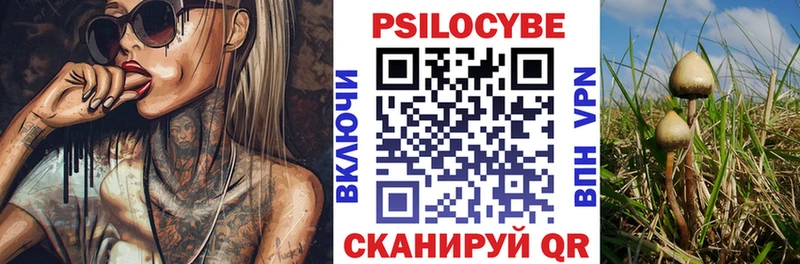 Псилоцибиновые грибы GOLDEN TEACHER Каменск-Уральский